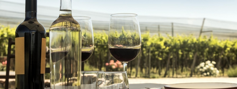 image for wine, wine glass and wine yard