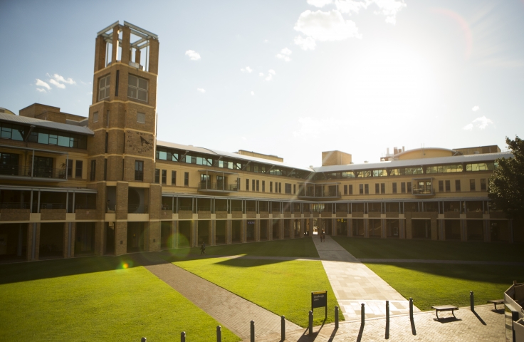 UNSW quadrangle lawn