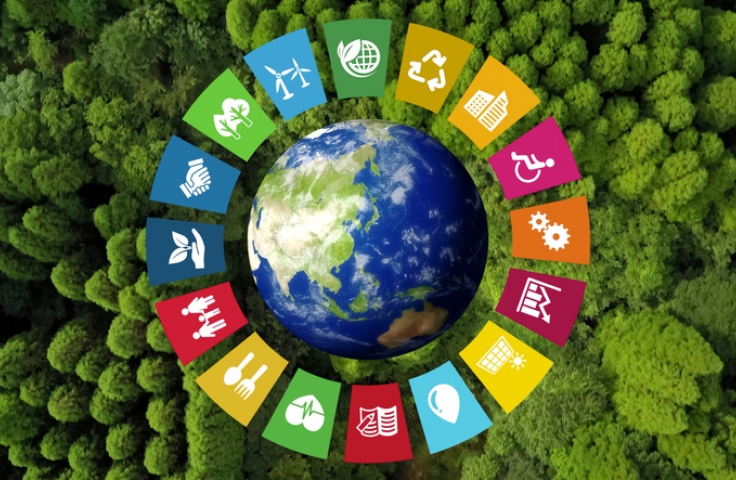 Sustainable development goals