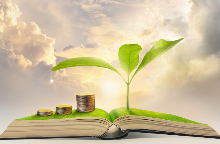 An image with a open book. The left side has 3 stacks of coins, increasing in hight from L-R, the right side of the book has a plant growing from the book. The background is some clouds and sky