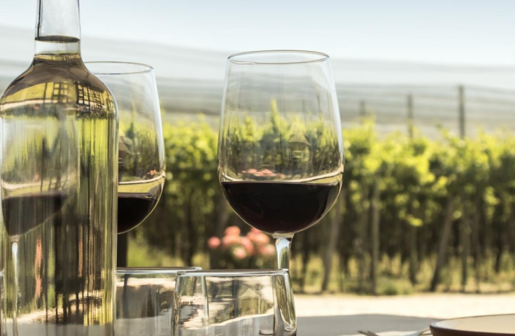 image for wine, wine glass and wine yard