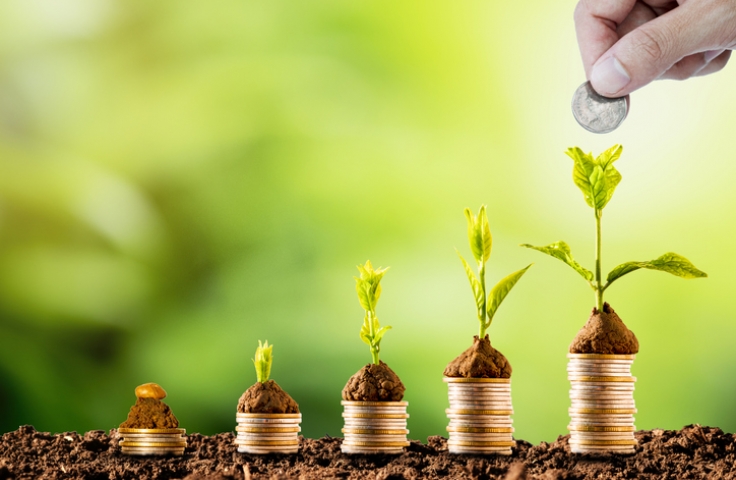 coins and green plants